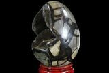 Septarian Dragon Egg Geode - Black Crystals #88525-1